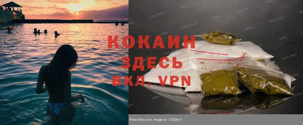 ГАЛЛЮЦИНОГЕННЫЕ ГРИБЫ Абаза