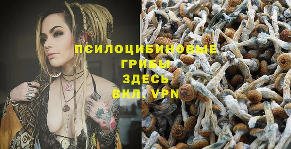 мескалин Абинск