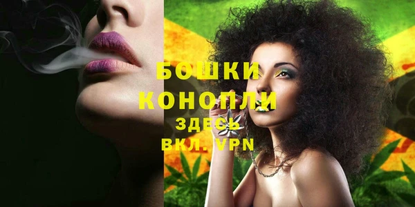 ГАЛЛЮЦИНОГЕННЫЕ ГРИБЫ Абаза